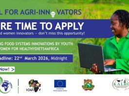 call-for-agri-innovators:-healthydiets4africa-agribusiness-accelerator-program-cohort-iii