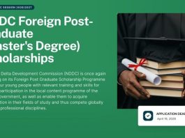 nddc-foreign-postgraduate-scholarship-programme-2026