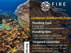 Caribbean BluEFin Call for Proposals 2026 (up to $250,000) caribbean-bluefin-call-for-proposals-2026-(up-to-$250,000)