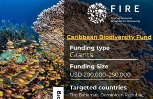 Caribbean BluEFin Call for Proposals 2026 (up to $250,000) caribbean-bluefin-call-for-proposals-2026-(up-to-$250,000)