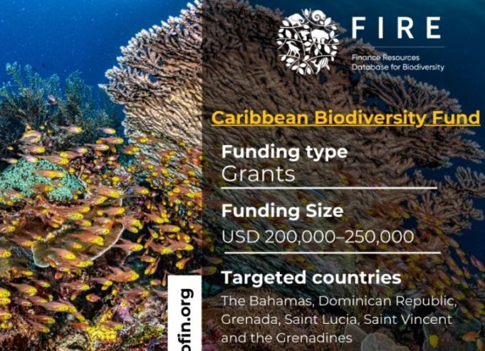caribbean-bluefin-call-for-proposals-2026-(up-to-$250,000)