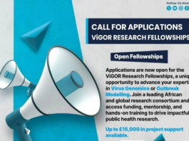 vigor-research-fellowships-2026