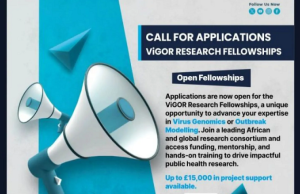 ViGOR Research Fellowships 2026 vigor-research-fellowships-2026