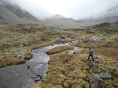 National Geographic Society Request for Proposal: The Climate Pledge 2026 (up to $100,000) national-geographic-society-request-for-proposal:-the-climate-pledge-2026-(up-to-$100,000)