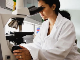 british-council-scholarships-for-women-in-stem-2026-2027