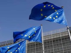 Funded Traineeship for Young Graduates at the EU Delegation to the Federal Republic of Nigeria and ECOWAS 2026 funded-traineeship-for-young-graduates-at-the-eu-delegation-to-the-federal-republic-of-nigeria-and-ecowas-2026