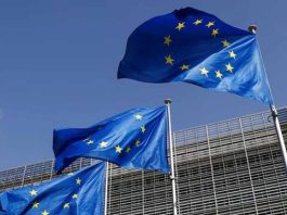 funded-traineeship-for-young-graduates-at-the-eu-delegation-to-the-federal-republic-of-nigeria-and-ecowas-2026