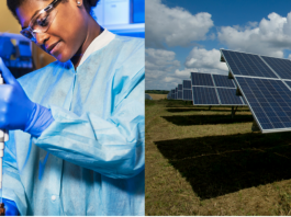 auda-nepad-home-grown-solutions-accelerator-2026