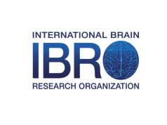 IBRO Neuroscience Training Grants 2026 ibro-neuroscience-training-grants-2026