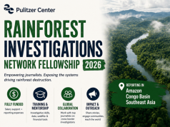 Rainforest Investigation Network Fellowship 2026/2027 (Funded) rainforest-investigation-network-fellowship-2026/2027-(funded)