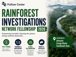 rainforest-investigation-network-fellowship-2026/2027-(funded)