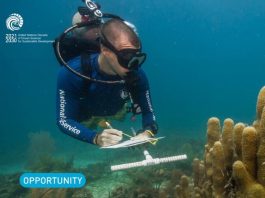 unesco-mab-young-scientists-awards-2026-(up-to-$5,000)