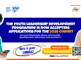 leap-africa-youth-leadership-development-programme-2026