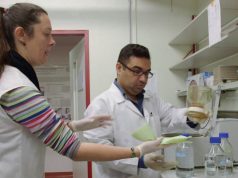 TWAS-CUI Postdoctoral Fellowship Programme 2026 (Funded) twas-cui-postdoctoral-fellowship-programme-2026-(funded)