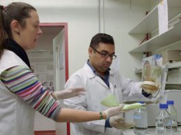 twas-cui-postdoctoral-fellowship-programme-2026-(funded)