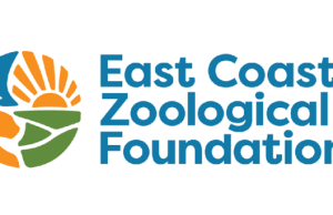 ECZF Growth, Engagement and Resources (GEAR) Grant 2026 eczf-growth,-engagement-and-resources-(gear)-grant-2026