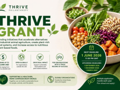 Call for Proposals: Thrive Grant 2026 (up to $30,000) call-for-proposals:-thrive-grant-2026-(up-to-$30,000)