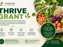 call-for-proposals:-thrive-grant-2026-(up-to-$30,000)
