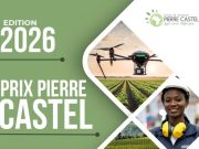 Pierre Castel Prize 2026 (€25,000 prize) pierre-castel-prize-2026-(e25,000-prize)
