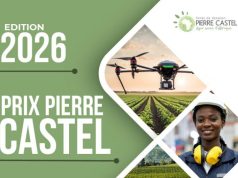 Pierre Castel Prize 2026 (€25,000 prize) pierre-castel-prize-2026-(e25,000-prize)