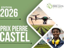 pierre-castel-prize-2026-(e25,000-prize)