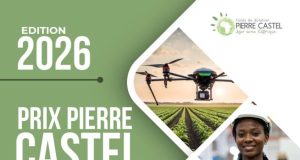 Pierre Castel Prize 2026 (€25,000 prize) pierre-castel-prize-2026-(e25,000-prize)