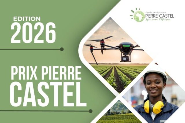 pierre-castel-prize-2026-(e25,000-prize) pierre-castel-prize-2026-(e25,000-prize)