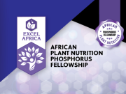 APNI African Plant Nutrition Phosphorus Fellowship 2026 (up to $5,000) apni-african-plant-nutrition-phosphorus-fellowship-2026-(up-to-$5,000)