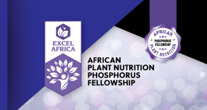 APNI African Plant Nutrition Phosphorus Fellowship 2026 (up to $5,000) apni-african-plant-nutrition-phosphorus-fellowship-2026-(up-to-$5,000)