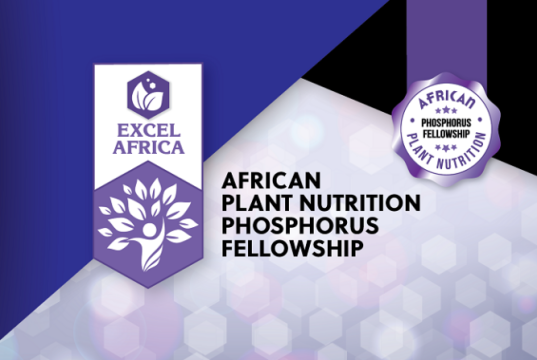 APNI African Plant Nutrition Phosphorus Fellowship 2026 (up to $5,000) apni-african-plant-nutrition-phosphorus-fellowship-2026-(up-to-$5,000)