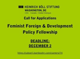 heinrich-boll-foundation-washington-dc-global-majority-ai-fellowship-2026