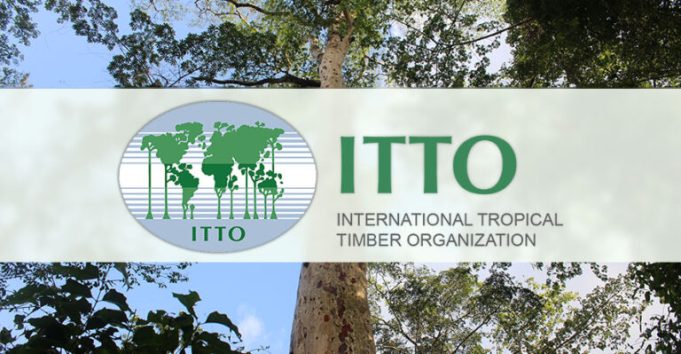 international-tropical-timber-organisation-(itto) fellowship-programme-2026-(up-to-$10,000)
