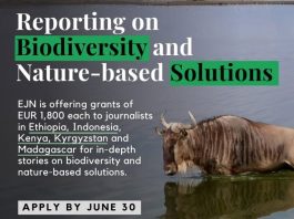 EJN Biodiversity and Nature-based Solutions Story Grants 2026 ejn-biodiversity-and-nature-based-solutions-story-grants-2026
