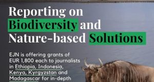 EJN Biodiversity and Nature-based Solutions Story Grants 2026 ejn-biodiversity-and-nature-based-solutions-story-grants-2026