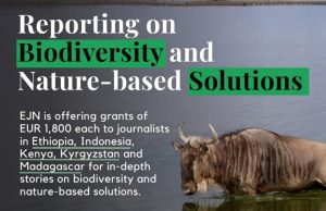 EJN Biodiversity and Nature-based Solutions Story Grants 2026 ejn-biodiversity-and-nature-based-solutions-story-grants-2026