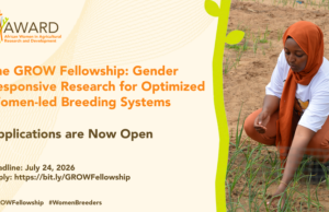 Gender Responsive Research for Optimized Women (GROW) Fellowship 2026 gender-responsive-research-for-optimized-women-(grow)-fellowship-2026