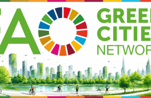 Call for Applications: FAO Green Cities Network 2026 call-for-applications:-fao-green-cities-network-2026