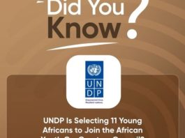 undp-africa-wants-11-young-leaders-to-co-create-the-continent’s-next-development-agenda