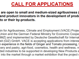 call-for-applications:-vace-project-supports-agri-food-smes-to-develop-new-ginger-and-tomato-products-in-nigeria-(2026)