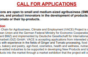 Call for Applications: VACE Project Supports Agri-Food SMEs to Develop New Ginger and Tomato Products in Nigeria (2026) call-for-applications:-vace-project-supports-agri-food-smes-to-develop-new-ginger-and-tomato-products-in-nigeria-(2026)