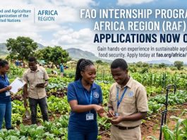 fao-internship-programme-for-africa-region-(raf)-–-2026-applications-now-open