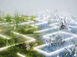 Google DeepMind Accelerator: AI for the Planet (APAC) 2026 google-deepmind-accelerator:-ai-for-the-planet-(apac)-2026
