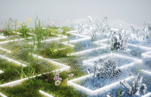 Google DeepMind Accelerator: AI for the Planet (APAC) 2026 google-deepmind-accelerator:-ai-for-the-planet-(apac)-2026