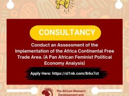 femnet-invites-consultants-for-pan-african-feminist-assessment-of-afcfta-implementation-–-apply-by-15-july-2026