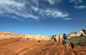 360 Venture Collective Fellows Program 2026 360-venture-collective-fellows-program-2026