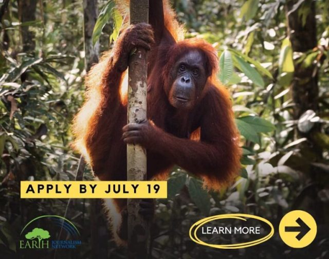 ejn-story-grants-to-report-on-asia’s-endangered-apes-2026 ejn-story-grants-to-report-on-asia’s-endangered-apes-2026