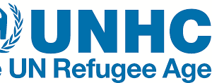 UNHCR Seeks Representative for Washington, D.C. to Lead Strategic Partnerships and Refugee Advocacy – Apply By 21 July 2026 unhcr-seeks-representative-for-washington,-dc.-to-lead-strategic-partnerships-and-refugee-advocacy-–-apply-by-21-july-2026