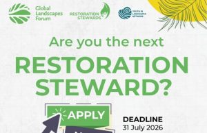 GLF/YIL Restoration Stewards Program 2027 (€5,000 grant) glf/yil-restoration-stewards-program-2027-(e5,000-grant)