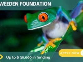 weeden-foundation-opens-fall-2026-grant-cycle-with-funding-of-up-to-$30,000-for-environmental-conservation-projects