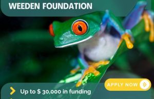 Weeden Foundation Opens Fall 2026 Grant Cycle with Funding of Up to $30,000 for Environmental Conservation Projects weeden-foundation-opens-fall-2026-grant-cycle-with-funding-of-up-to-$30,000-for-environmental-conservation-projects
